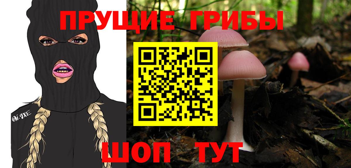Галлюциногенные грибы мицелий  Вход с VPN  Псилоцибиновые грибы мицелий  Химки 
